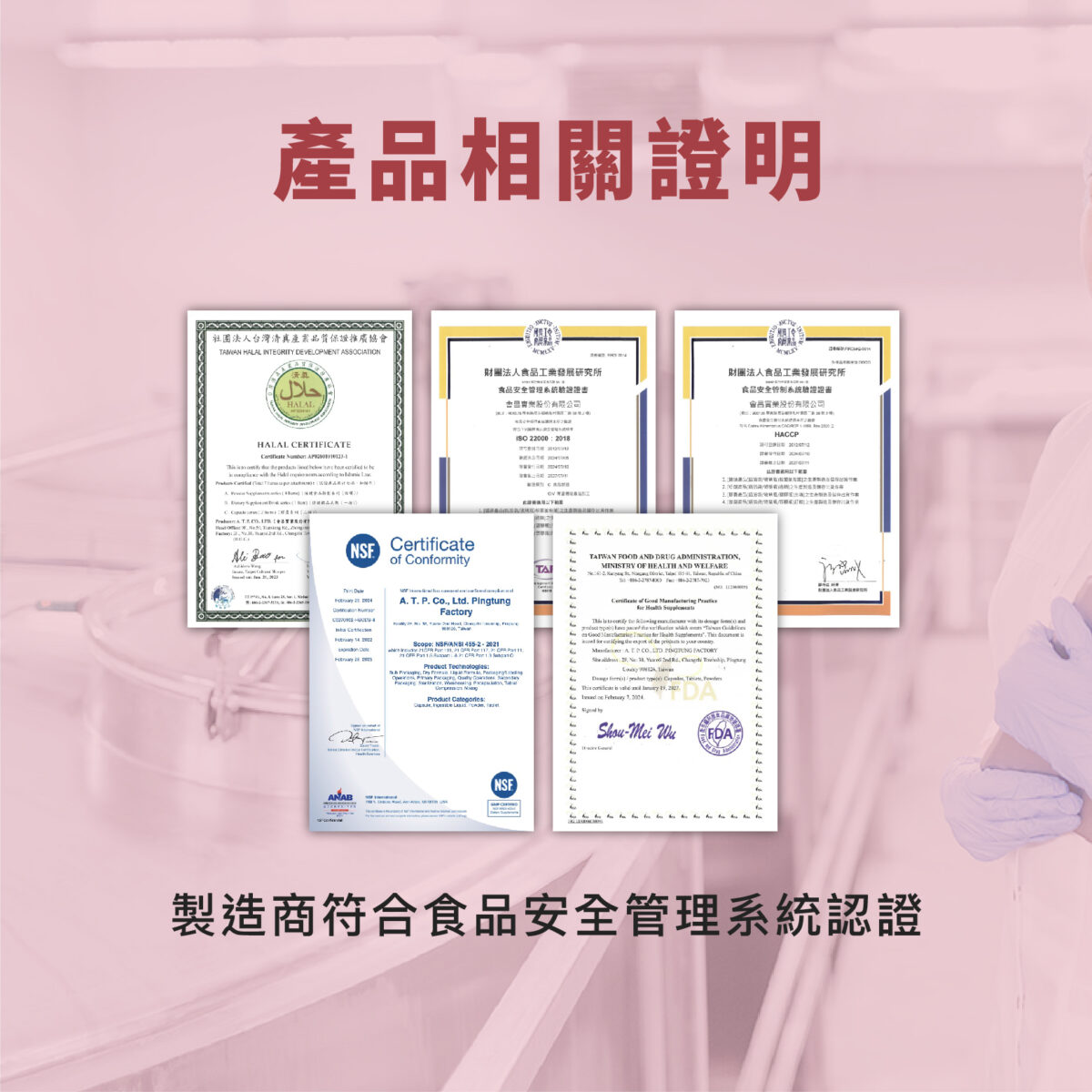 VITA鐵鋅錠 45 & 30mg：圖片 9