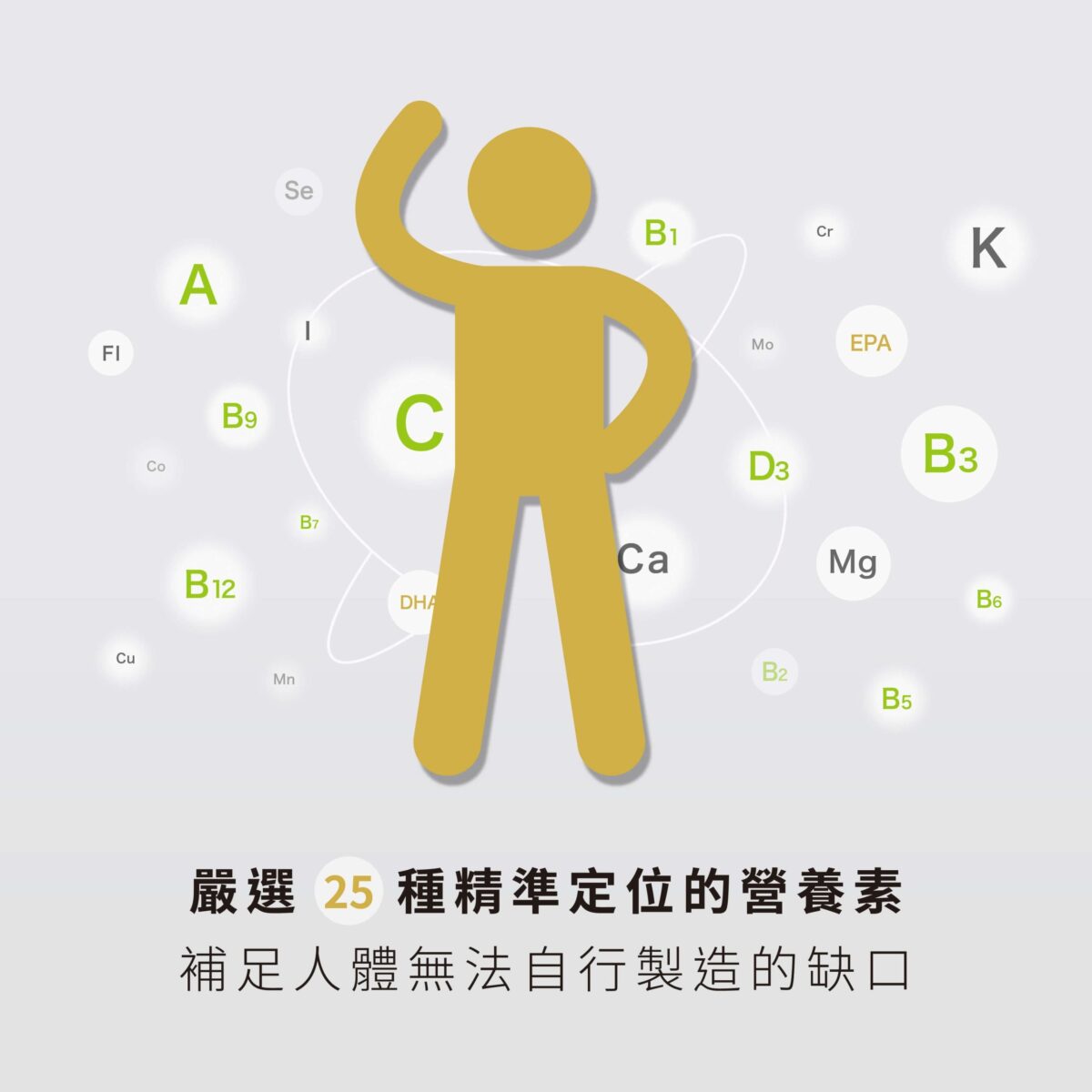 VitalBulk 每日保健隨身包：圖片 7