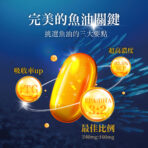 VITA 85%超臨界高濃縮魚油：圖片 7